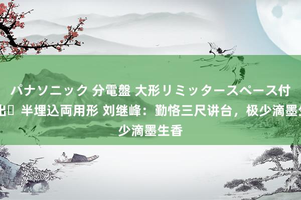 パナソニック 分電盤 大形リミッタースペース付 露出・半埋込両用形 刘继峰：勤恪三尺讲台，极少滴墨生香