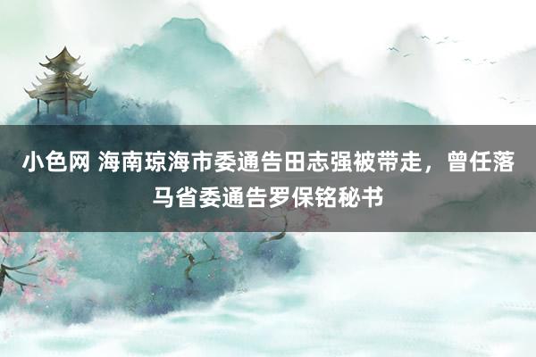 小色网 海南琼海市委通告田志强被带走，曾任落马省委通告罗保铭秘书