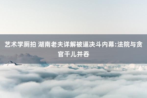 艺术学厕拍 湖南老夫详解被逼决斗内幕:法院与贪官干儿并吞