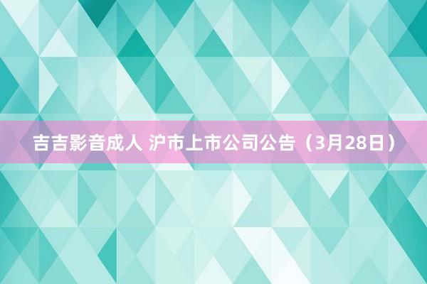 吉吉影音成人 沪市上市公司公告（3月28日）