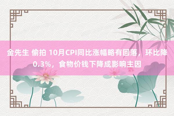 金先生 偷拍 10月CPI同比涨幅略有回落，环比降0.3%，食物价钱下降成影响主因