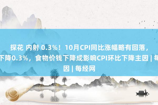 探花 内射 0.3%！10月CPI同比涨幅略有回落，环比下降0.3%，食物价钱下降成影响CPI环比下降主因 | 每经网