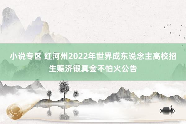 小说专区 红河州2022年世界成东说念主高校招生赈济锻真金不怕火公告