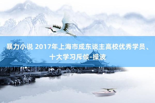 暴力小说 2017年上海市成东谈主高校优秀学员、十大学习斥候-操波